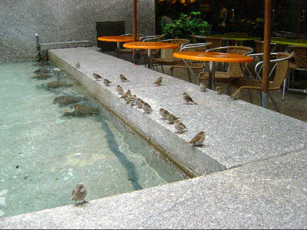 NYC2004-110.jpg